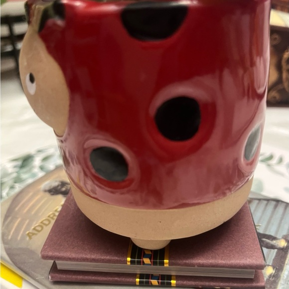 Ladybug Pot - Picture 4 of 11